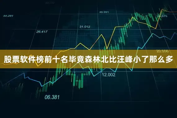 股票软件榜前十名毕竟森林北比汪峰小了那么多